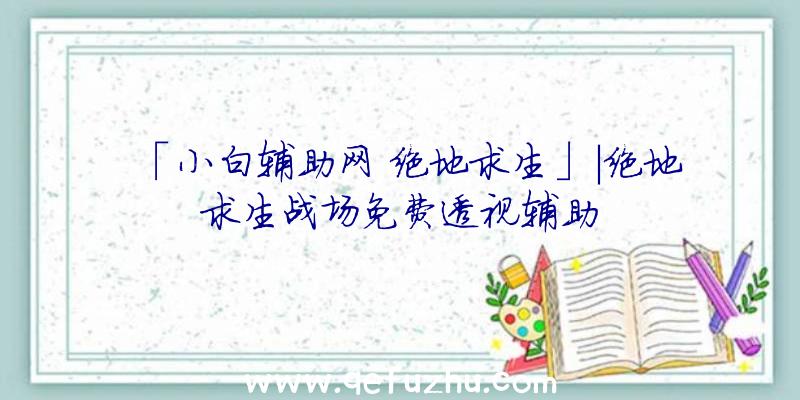 「小白辅助网